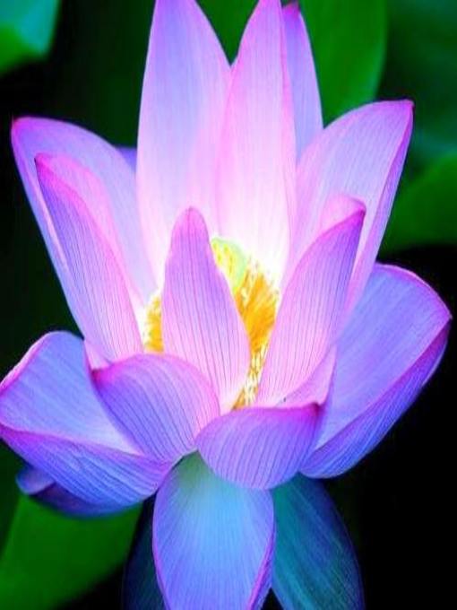 Title details for El Tiempo que nos llevará by Armykim - Available